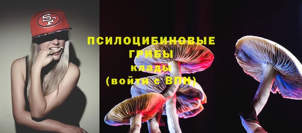 МДПВ Аркадак