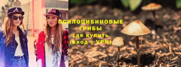 герыч Арсеньев