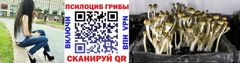 Галлюциногенные грибы Magic Shrooms  цена наркотик  Кирово-Чепецк 